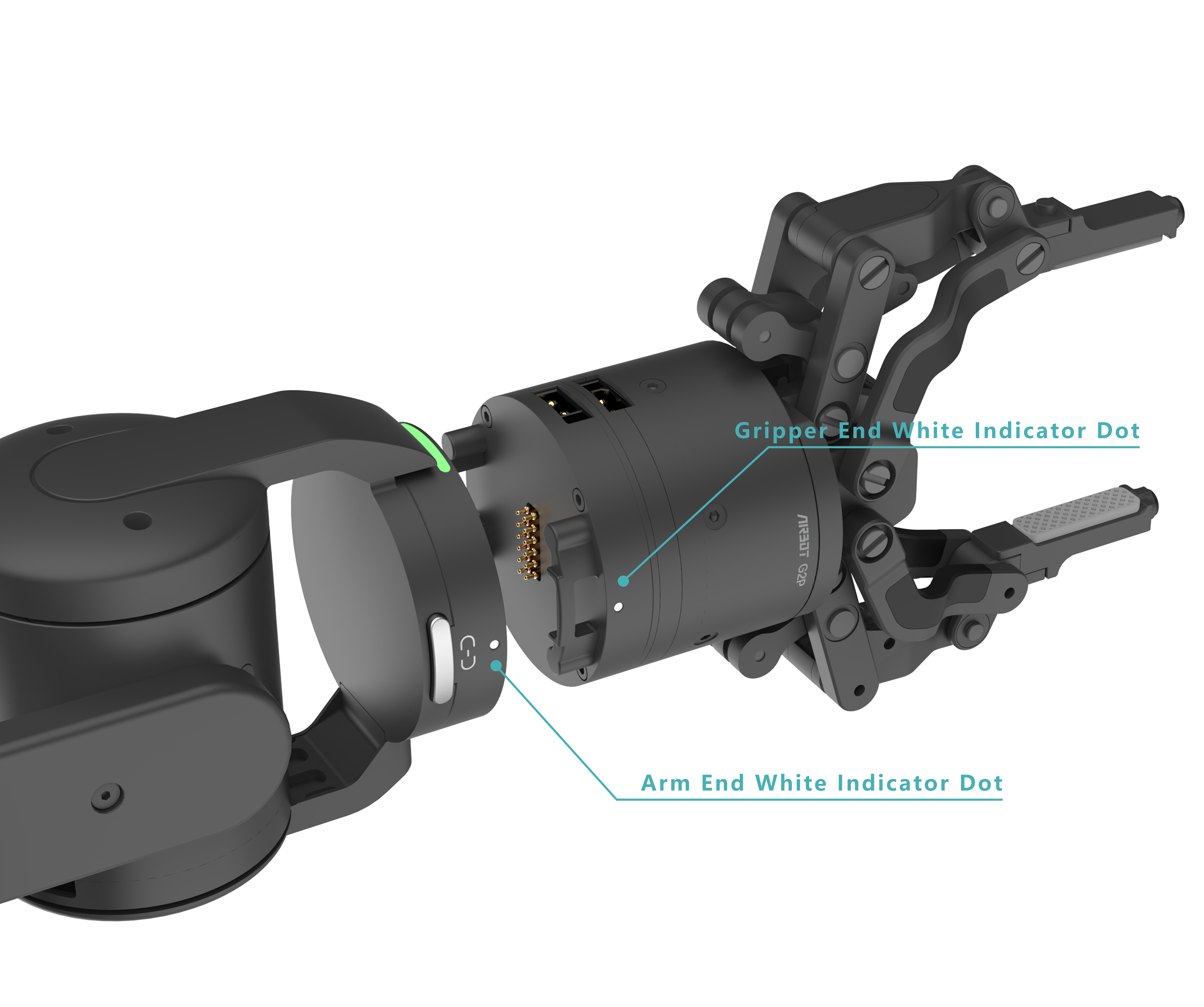 End-effector white-dot alignment